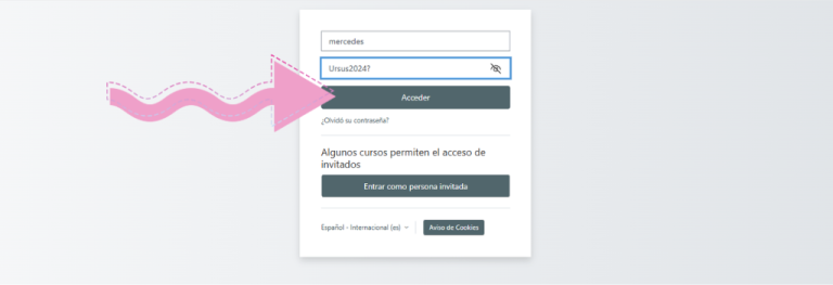 Botón Acceder